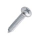 AM-80658 Phillips head screw